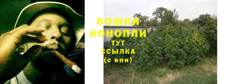 Каннабис планчик  купить  сайты  mega ССЫЛКА  Кадников 